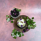 Medium Candles with Blackberry, box of 6