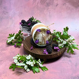 Medium Candles with Blackberry, box of 6