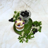 Medium Candles with Blackberry, box of 6