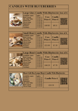 Trade Catalogue (Print Edition) – Candles & Wax Melts